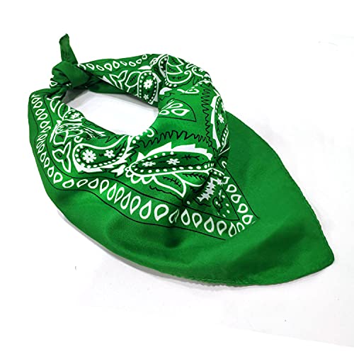 Paisley Bandana Bufanda Bufandas para el cuello Muñequera Pañuelo de anacardo Diseño Pañuelo Novedad Estampado para la cabeza para hombres, mujeres, unisex, adultos y niños, 54 x 54 cm, 6 piezas