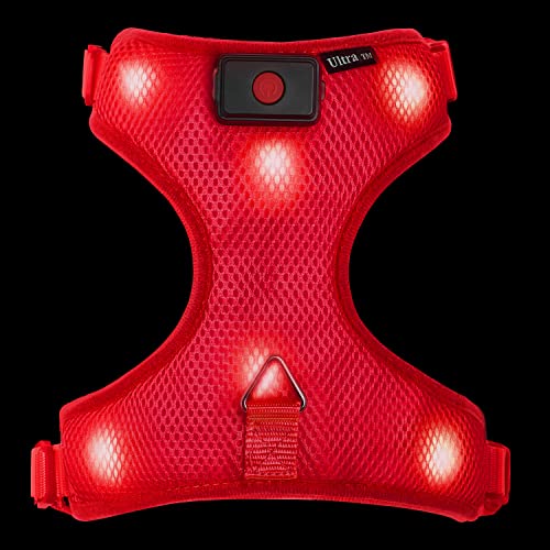 Pequeña Rojo Arnés Perros LED USB Recargable Ajustable Arnes Reflectante Arnes Anti Tirones para Perros Accesorios Chaleco Reflectante Visibilidad Seguridad Iluminada Arnes Perro Acolchado