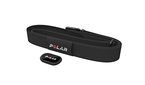 Polar For Trotters H10 Equine para trote-Sensor de frecuencia cardíaca para Caballos, Unisex Adulto, Negro, Talla única