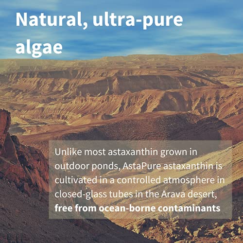 Pure & Essential Complejo de Astaxantina natural & sostenible, 42 mg de AstaPure, con luteína & zeaxantina, vegano, 90 cápsulas
