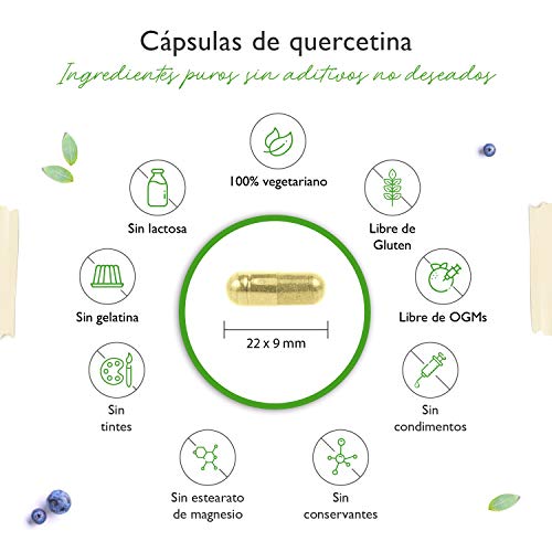 Quercetina - 500 mg - 120 Cápsulas - Suministro para 4 meses - Probado en laboratorio - Hecho naturalmente de extracto de flor de árbol de cordero japonés - Alta dosis - Vegano