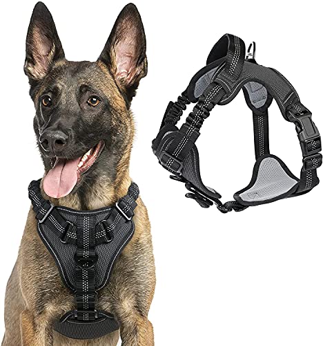 rabbitgoo Arnes Perros Arnés Chaleco Antitirones para Perros Grandes y Medianos con Correas Elásticas para Absorber Golpes Ajustable para Caminar con Asa de Fácil Control Reflectante, Negro XL