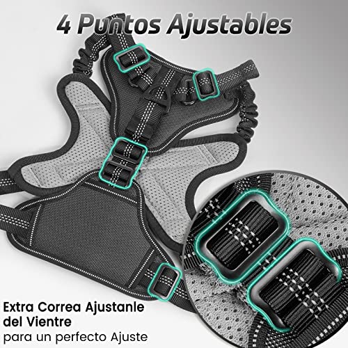 rabbitgoo Arnes Perros Arnés Chaleco Antitirones para Perros Grandes y Medianos con Correas Elásticas para Absorber Golpes Ajustable para Caminar con Asa de Fácil Control Reflectante, Negro XL