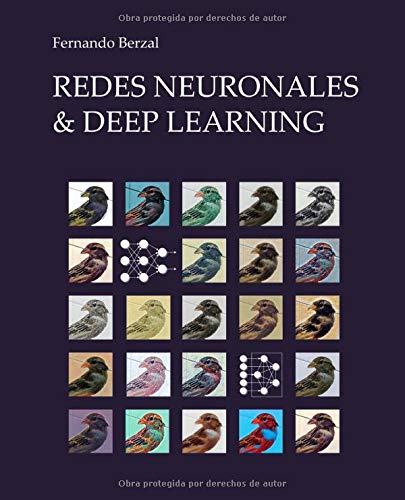 Redes Neuronales & Deep Learning