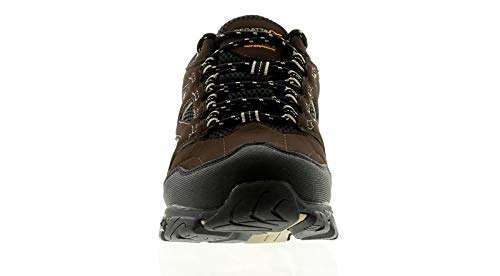 Regatta Holcombe Iep Low, Walking Shoe Mens, (Peat/Gld Fawn 40q), 44 EU