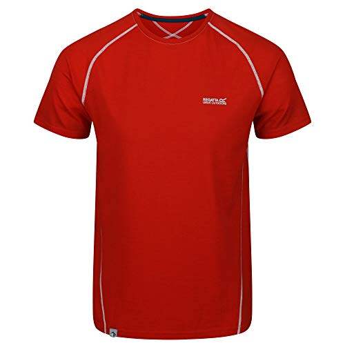 Regatta Tornell II Camiseta transpirante, Merino TechWool, Mangas Cortas T-Shirts/Polos/Vests, Hombre, Ash/Black, XXXL