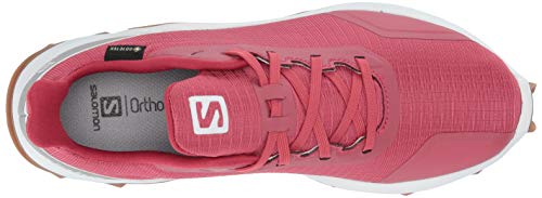 Salomon ALPHACROSS GTX W, Zapatillas de Trail Running Mujer, Rojo Garnet Rose White Gum1a, 45 1/3 EU