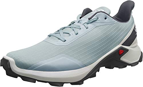 Salomon Alphacross, Zapatillas de Trail Running Hombre, Gris Lead White India Ink, 42 EU