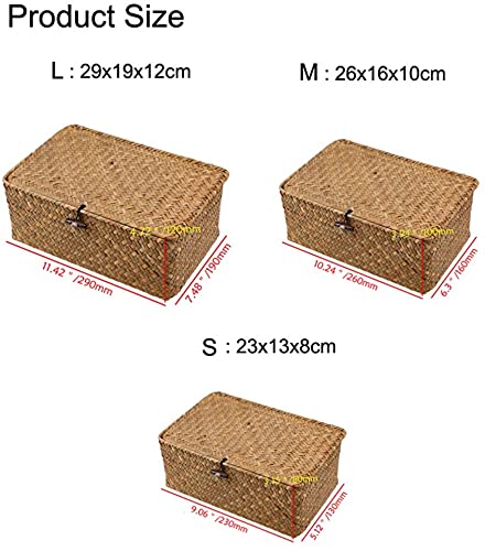 Seagrass - Cesta de mimbre con tapa para cestas de almacenamiento, cesta de ratán trenzado, cesta de mimbre con tapa para cestas de almacenamiento (mediana 26 x 16 x 10 cm)