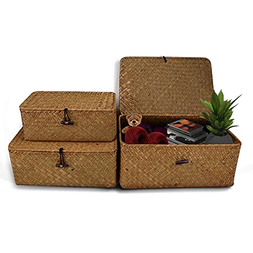 Seagrass - Cesta de mimbre con tapa para cestas de almacenamiento, cesta de ratán trenzado, cesta de mimbre con tapa para cestas de almacenamiento (mediana 26 x 16 x 10 cm)