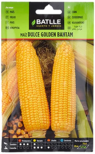 Semillas Hortícolas - Maíz dulce Golden Bantam - Batlle