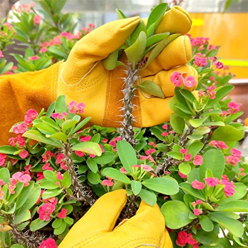 SLARMOR Guantes de Jardinería de Cuero para Mujeres/ Hombres Resistentes a Puñaladas y a Los Cortes, para Poda de Rosales, Protege Contra Espinas, con Protección de Antebrazo, Amarillo L