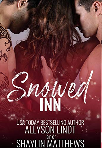 Snowed Inn (English Edition)
