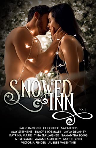 Snowed Inn: Volume 2 (English Edition)