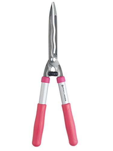 Spear & - Tijeras Jackson Colours 55509B para Padres, Rosa