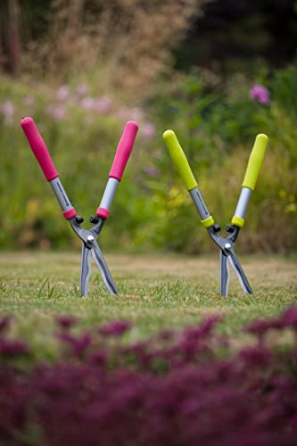 Spear & - Tijeras Jackson Colours 55509B para Padres, Rosa