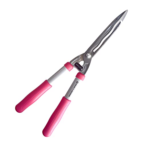 Spear & - Tijeras Jackson Colours 55509B para Padres, Rosa