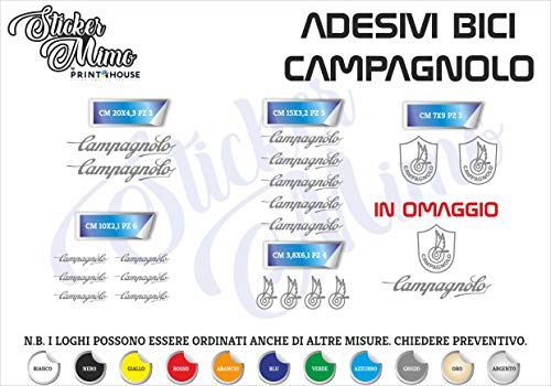 Sticker Mimo Juego de Pegatinas de Campagnolo Cortadas Individualmente, Pegatinas compatibles con Kit de Pegatinas Personalizadas de Color Gris