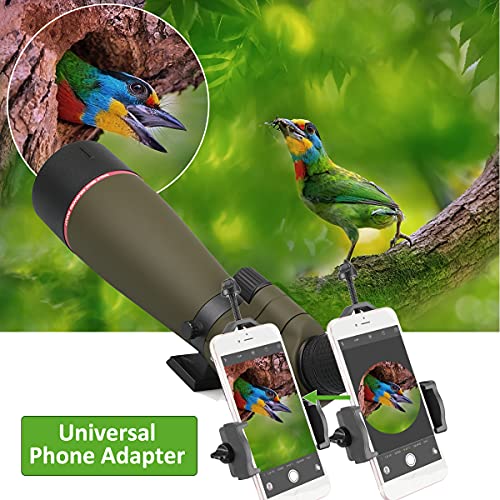 Svbony SV13 Telescopio Terrestre 20-60x80, HD Monocular con Adaptador Móvil, Impermeable Óptica FMC Catalejos Potente Profesional Bolsa de Transporte para Observación de Aves, Tiro al Blanco