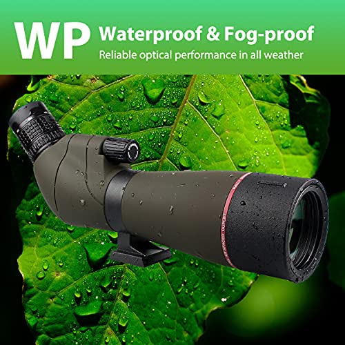 Svbony SV13 Telescopio Terrestre 20-60x80, HD Monocular con Adaptador Móvil, Impermeable Óptica FMC Catalejos Potente Profesional Bolsa de Transporte para Observación de Aves, Tiro al Blanco