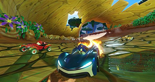 Team Sonic Racing - Xbox One [Importación inglesa]