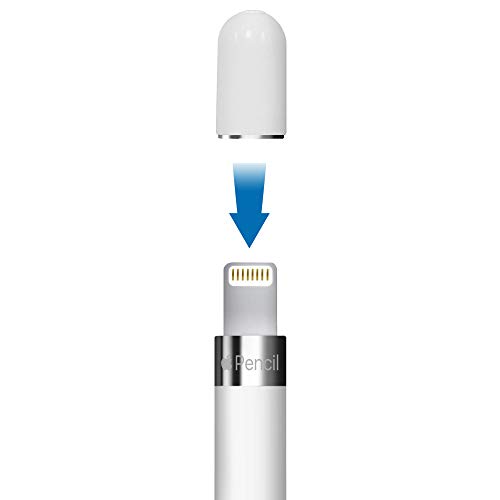 TechMatte Recambio Magnético de Tapa y Soporte para Apple Pencil (1 Pieza, Blanco)