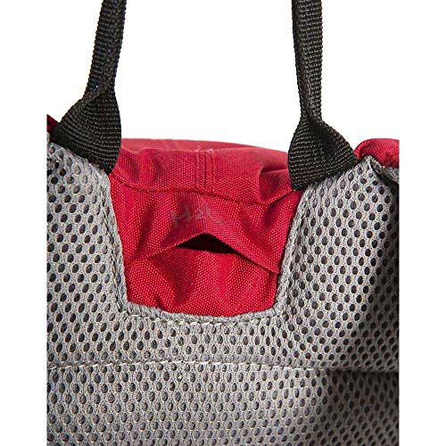 Ternua Ampersand 16 Mochila, Unisex Adulto, Rojo (Burgundy), 16 l