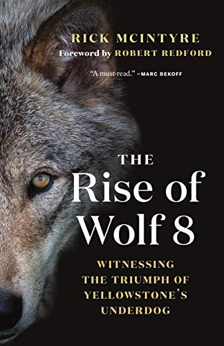 The Rise of Wolf 8: Witnessing the Triumph of Yellowstone's Underdog: 1 (The Alpha Wolves of Yellowstone Series)