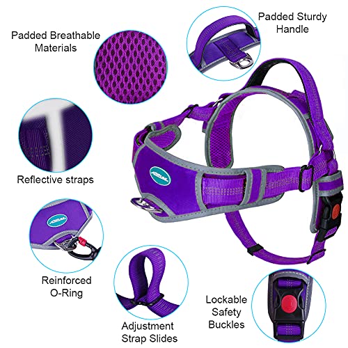 ThinkPet Arnés sin tracción Arnés Deportivo Transpirable - Chaleco de Seguridad para Perros Acolchado Reflectante a Prueba de Escape/Ajuste rápido con asa Trasera/Clips Delanteros