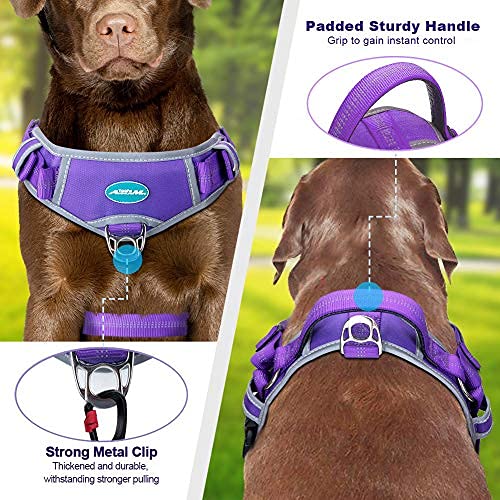 ThinkPet Arnés sin tracción Arnés Deportivo Transpirable - Chaleco de Seguridad para Perros Acolchado Reflectante a Prueba de Escape/Ajuste rápido con asa Trasera/Clips Delanteros