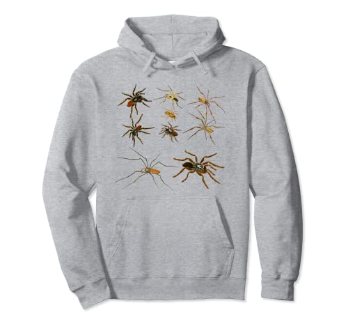 Tipos de Araña Tarántula Sudadera con Capucha