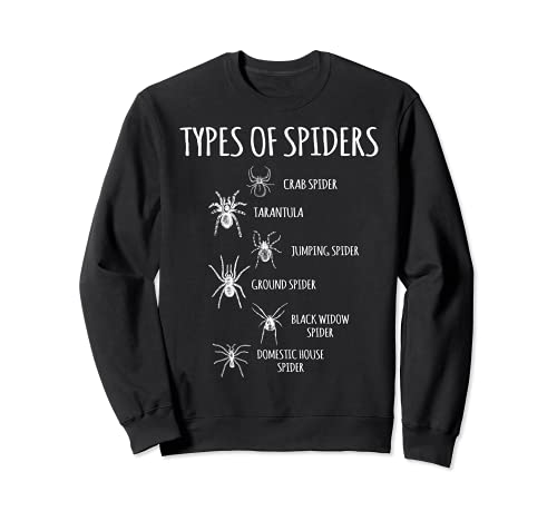 Tipos de arañas, araña, aracnología y aracnólogo Sudadera