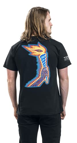 Tool The Torch Hombre Camiseta Negro XXL, 100% algodón, Regular