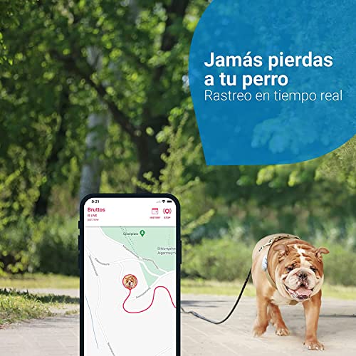 Tractive Collar GPS Perros (2021). Conoce Siempre la ubicación de tu Perro. Localización y Seguimiento de Actividad Las 24 h