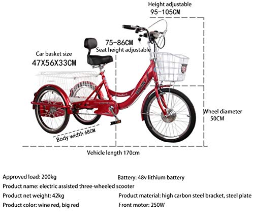 Triciclo Adulto Bicicleta de Tres Ruedas 20 '' asistido eléctrico Bicicletas de 3 Ruedas para Padres Batería de Litio Motor de 250W con Cesta de la Compra Adicional Triciclo de Movilidad Ejercicio