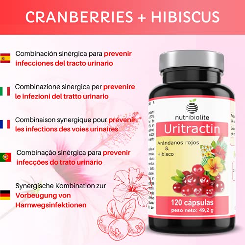 Uritractin – Extractos de Arándano rojo americano 12500 mg (con 125 mg de PACs) + Flor de hibisco 825 mg (con 5,5 mg de polifenoles) por cápsula. Suministro para 4 Meses. 120 cápsulas. Vegano. No OGM