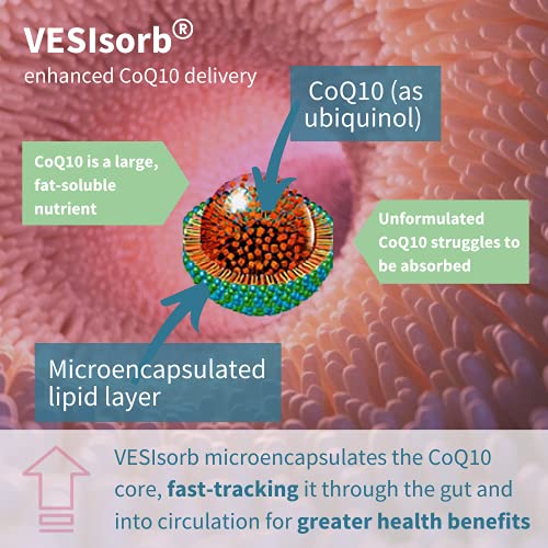 VESIsorb Ubiquinol-QH Coenzima Q10 100mg - Suplemento CoQ10 Kaneka Ubiquinol de alta absorción, fórmula patentada con efecto 6x más duradero, 30 cápsulas