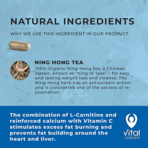 Vital Concept Slim - Extracto De Té Ning Hong | Para Una Pérdida De Peso Saludable y Mantener Una Figura Delgada | Para Quema Rápida De Grasa y La Pérdida De Grasa Del Vientre | 30 Capsulas, 30 Dias De Suministro