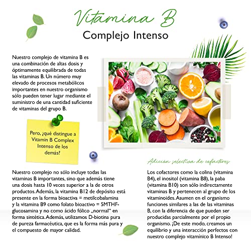 Vitamin B Complex Intenso - 180 cápsulas (6 meses) - Premium: Con formas bioactivas de vitamina B + cofactores - Dosis hasta 10 veces mayor que otros complejos vitamínicos B - Vegano