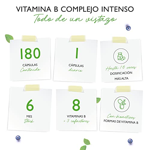 Vitamin B Complex Intenso - 180 cápsulas (6 meses) - Premium: Con formas bioactivas de vitamina B + cofactores - Dosis hasta 10 veces mayor que otros complejos vitamínicos B - Vegano