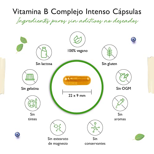 Vitamin B Complex Intenso - 180 cápsulas (6 meses) - Premium: Con formas bioactivas de vitamina B + cofactores - Dosis hasta 10 veces mayor que otros complejos vitamínicos B - Vegano