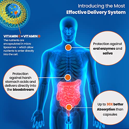 Vitamina C Liposomal 1000mg Líquida 250ml Vegana - Con Vitamina D Ácido Ascórbico y Acerola, Vitamina C Pura de Alta Concentración y Absorción Contribuye a la Reducción del Cansancio y la Fatiga