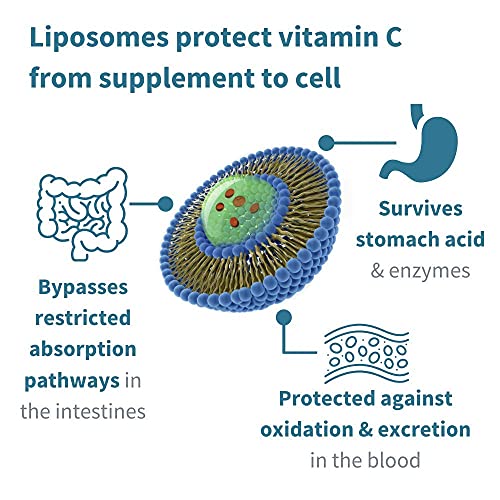 Vitamina C Liposomal Complex de 1000 mg con Zinc, cobre y selenio, complejo líquido de apoyo inmunológico para adultos y niños, sabor cítrico y vainilla, 30 porciones