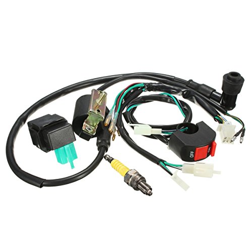 Viviance Cableado Telar Kill Switch Bobina Cdi Spark Plug Kit Compatible con 110Cc 125Cc 140Cc Pit Bike