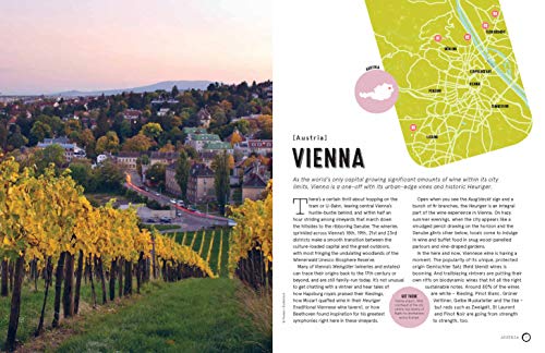 Wine Trails - Europe: plan 40 perfect weekends in wine country (Lonely Planet Food)