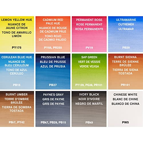 Winsor & Newton acuarela Cotman - Caja de acuarela en tubo Pintor Plus - set de 12 tubos de 8ml, colores surtidos