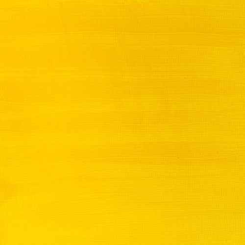 Winsor & Newton Galería Pintura Acrílica, Amarillo (Cadmium Yellow Medium Hue), 250 ml, 250