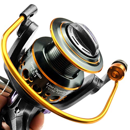 XKSO-QPTY Carretes de Pesca Carrete de Pesca Carpa Spinning Reel Sistema de Freno Delantero y Trasero Sistema de Metal carretes de Pesca Pesca Herramientas Accesorios (Spool Capacity : 3000 Series)