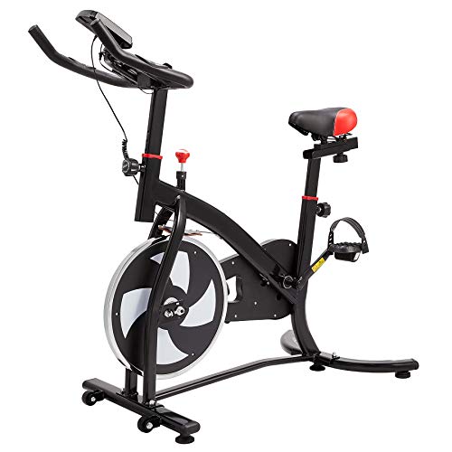 Z Zelus Bicicleta Estática para Fitness de Capacidad 100KG Bicicleta de Spinning Profesional con Volante 6KG Exercise Bike para Casa y Gimnasio