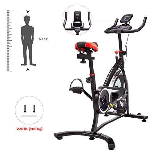 Z Zelus Bicicleta Estática para Fitness de Capacidad 100KG Bicicleta de Spinning Profesional con Volante 6KG Exercise Bike para Casa y Gimnasio